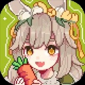 正版免费资料免费大全